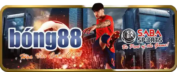 Giao Diện Thân Thiện, Tối Ưu Cho Mọi Thiết Bị